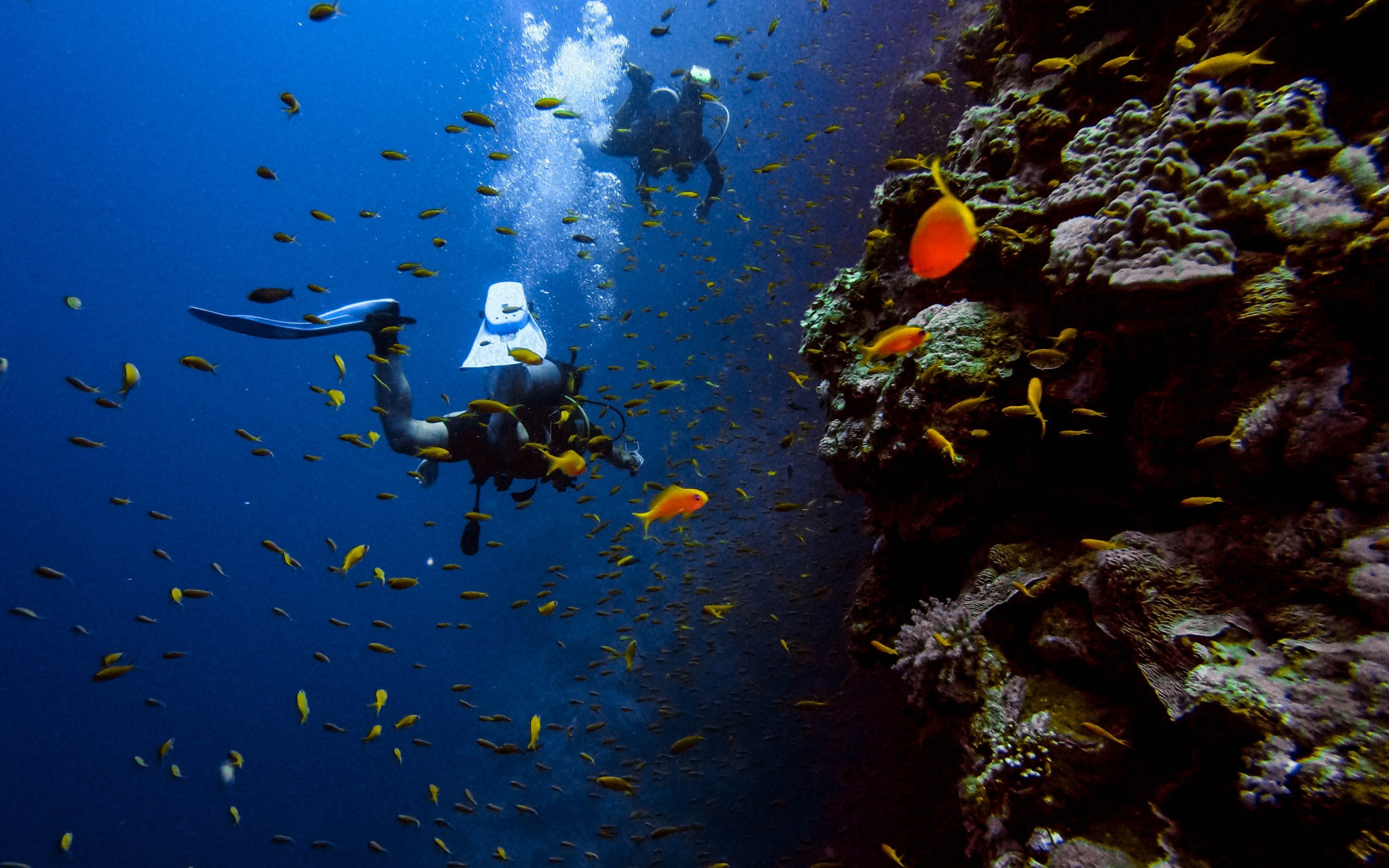 Discover diving in Malta and Gozo