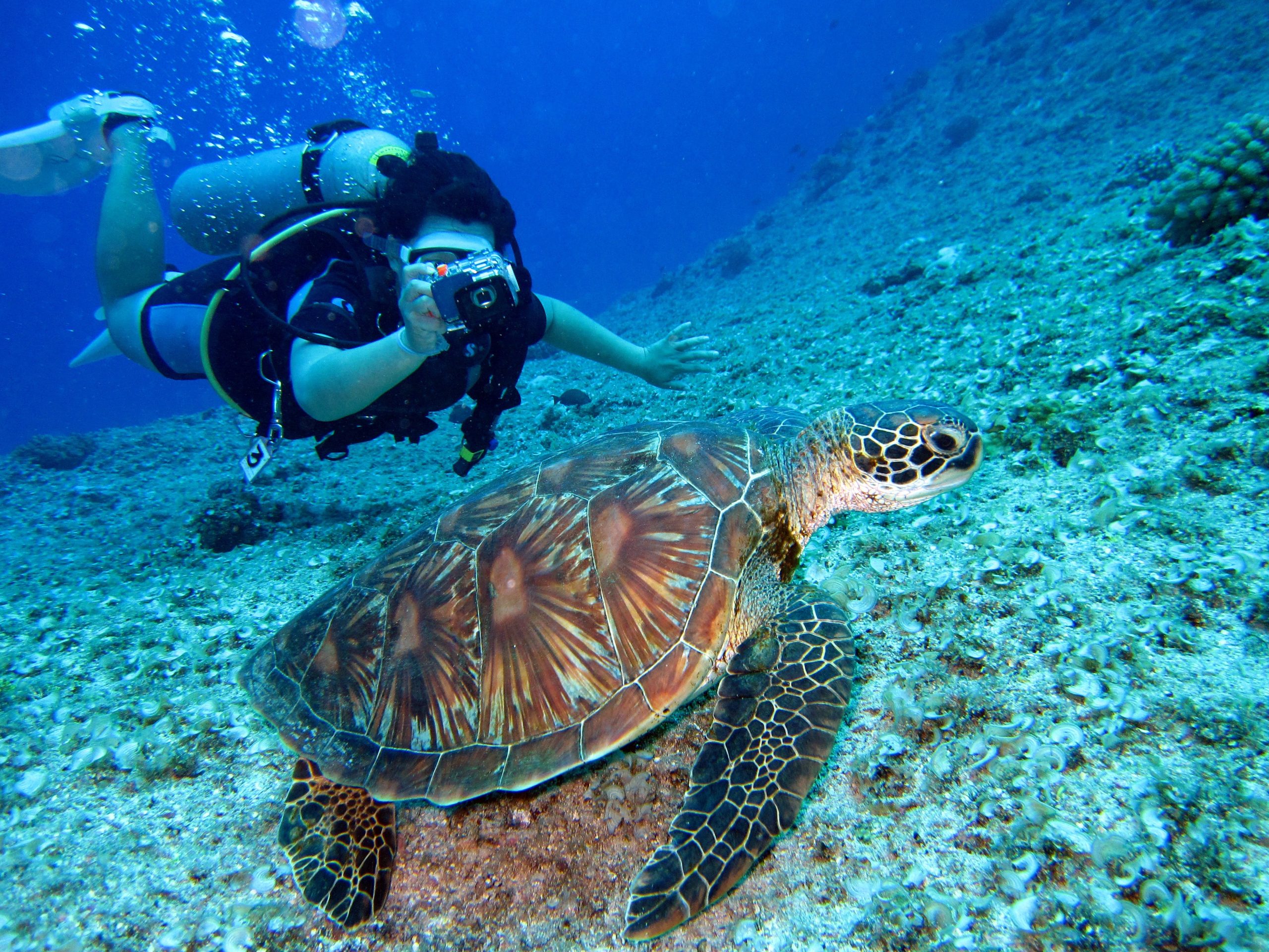 Lagoons and underwater world of Malta