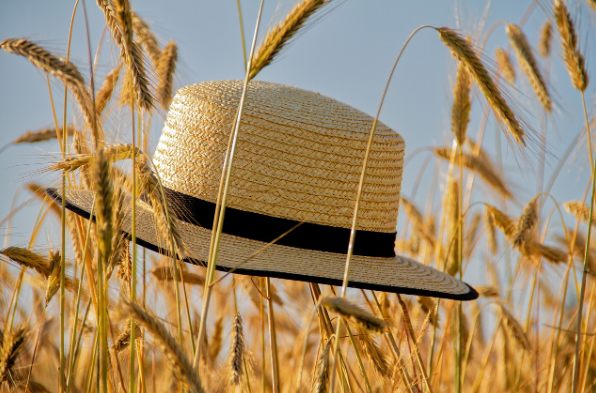 Scorching summer on the Maltese Islands
