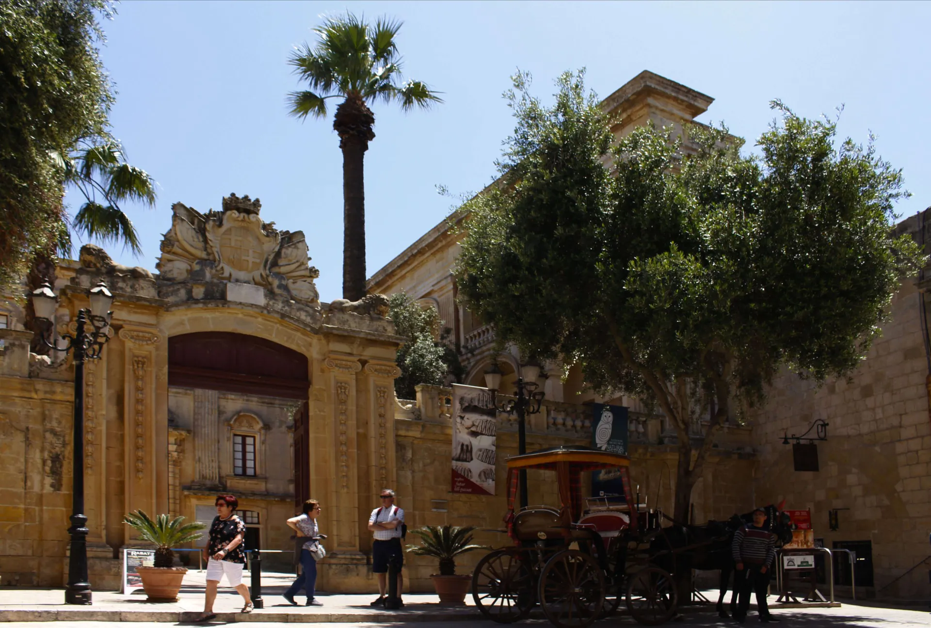 Maltasightseeing: Malta bei Nacht im Bus, mit Halt in Mdina (2)