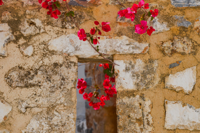 Spring in Malta