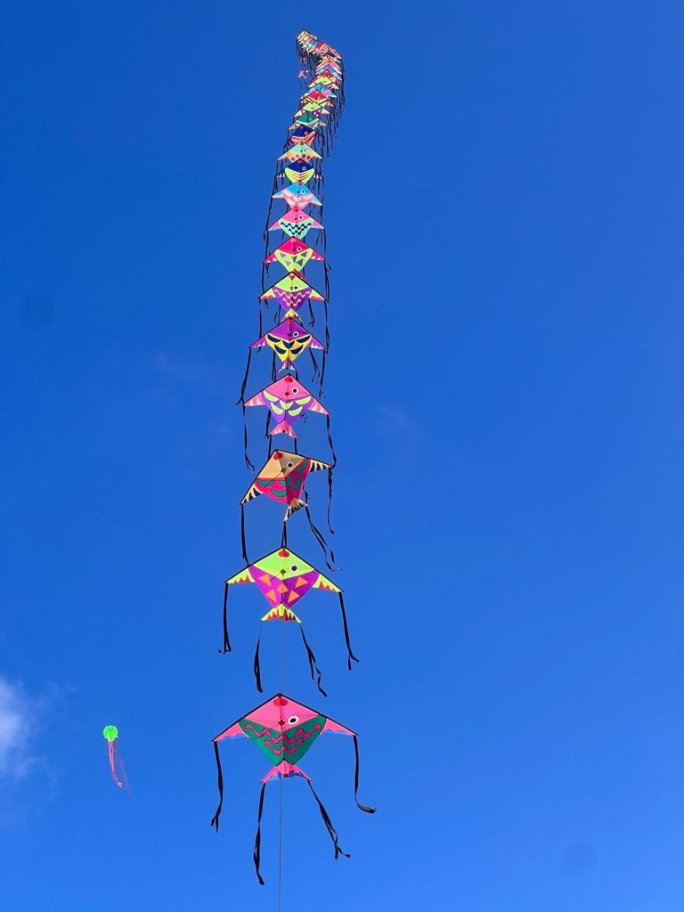 Gozo International Kite and Wind Festival 2026