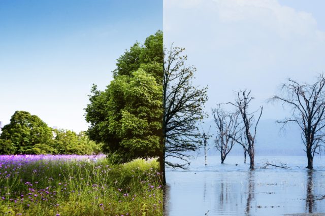 Changes in climate and seasons in and around Malta